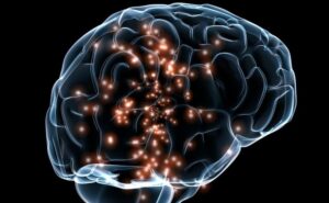Creierul uman produce neuroni noi până la vârste înaintate, au descoperit cercetătorii