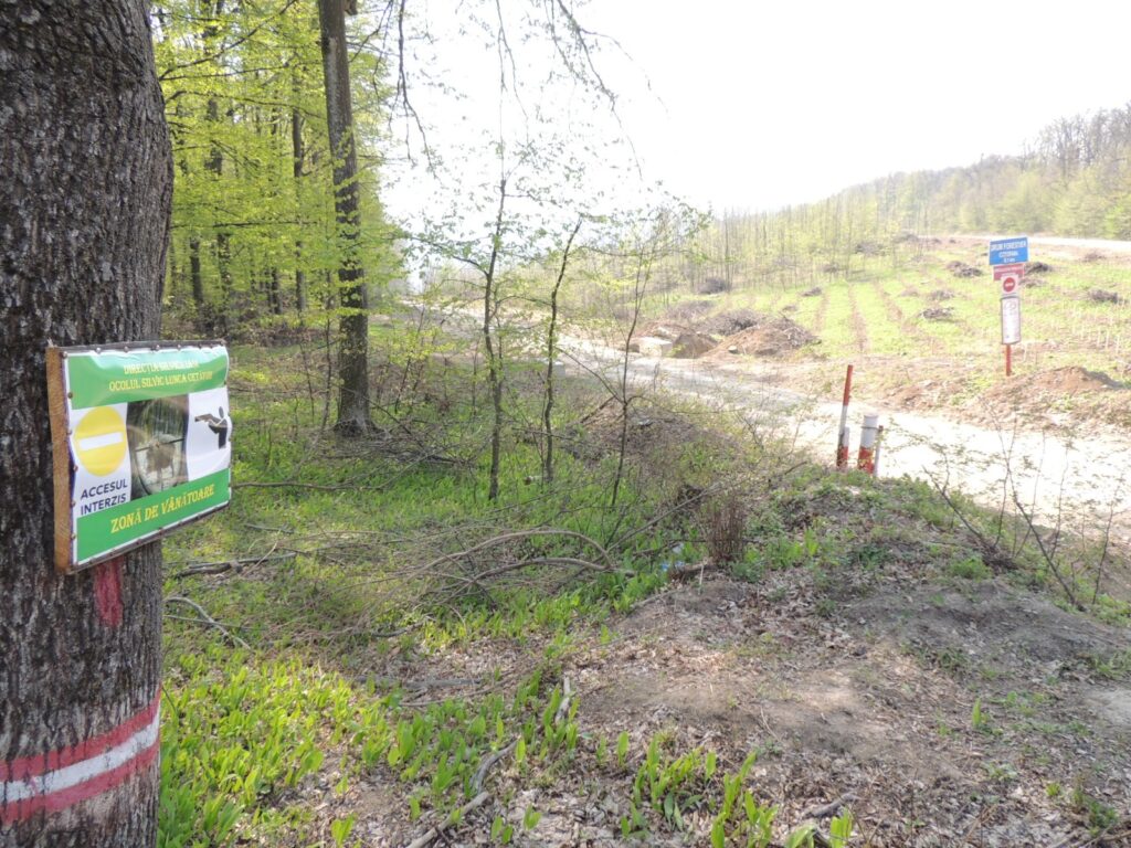  Regenerarea pădurilor din județul Iași în era schimbărilor climatice: provocări și soluții
