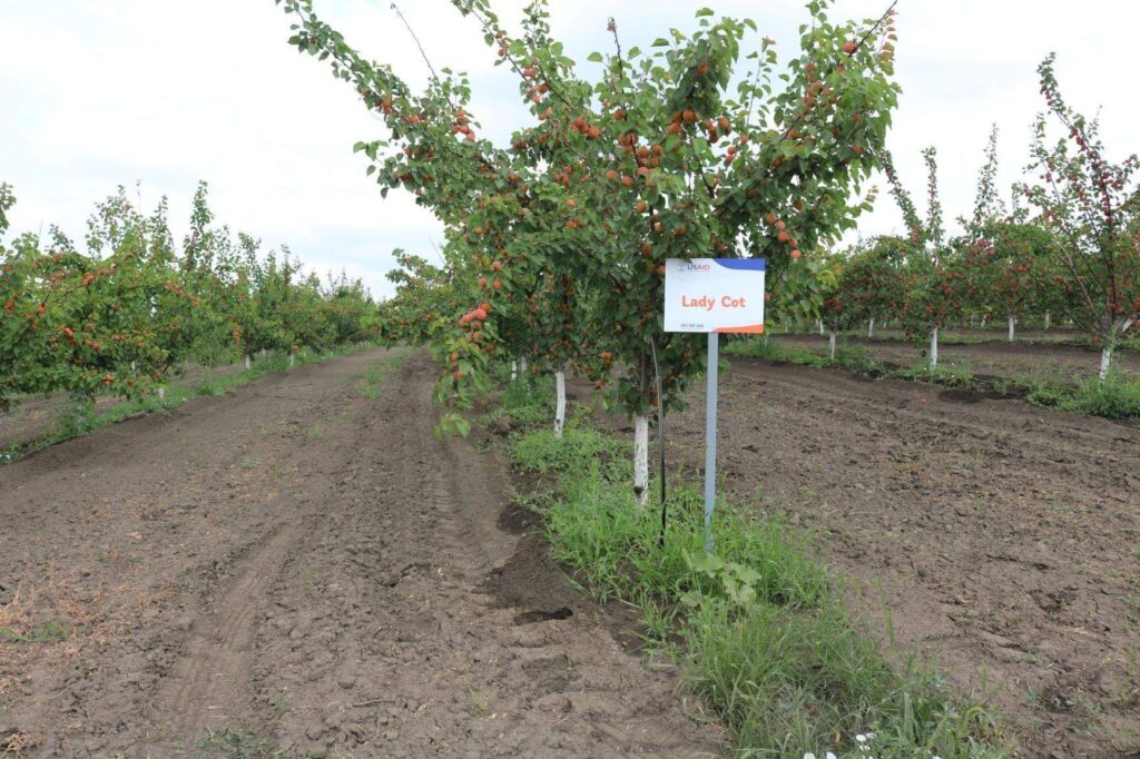 O primărie din Iași, executată silit din cauză că funcționarii au îngropat un proiect al unei firme private? „Asta e justiția în România”
