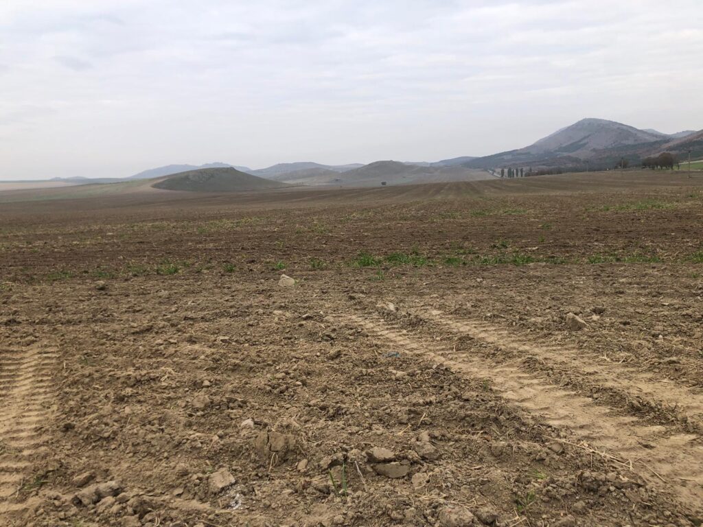 Ceva s-a ieftinit, totuși. Cât costă în 2025 introducerea unui teren agricol în intravilan? Noile tarife din acest an, la Iași
