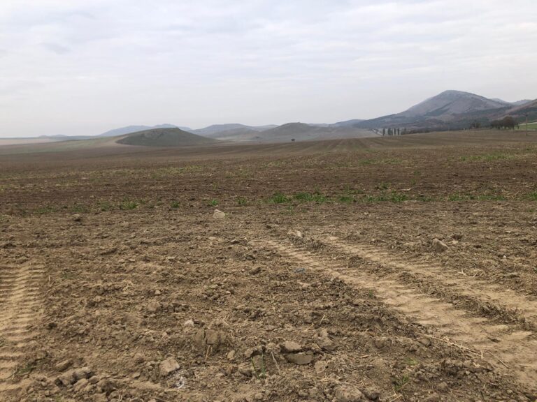 Ceva s-a ieftinit, totuși. Cât costă în 2025 introducerea unui teren agricol în intravilan? Noile tarife din acest an, la Iași
