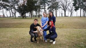 Studenții Facultății de Medicină Veterinară din Iași, implicați în salvarea unei căprițe și a iedului său – GALERIE FOTO