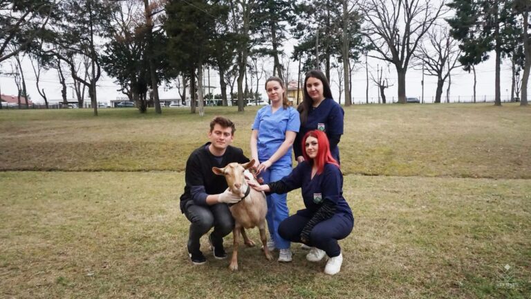 Studenții Facultății de Medicină Veterinară din Iași, implicați în salvarea unei căprițe și a iedului său – GALERIE FOTO