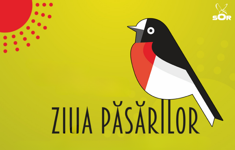 O idee excelentă de relaxare în aer liber: începe festivalul păsărilor în Delta Moldovei. Este la doar 40 km de Iași
