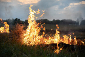 Măsuri de prevenire a incendiilor pe timpul arderii vegetației uscate (P)