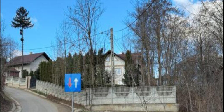 Furt de un milion de euro din casa unui notar: cum au acționat hoții