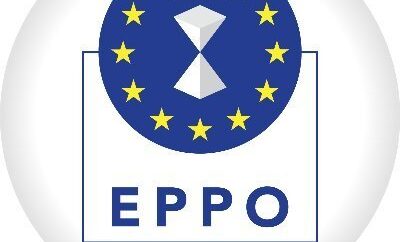 Dosar instrumentat de Parchetul European: Primarul unei comune din judeţul Timiş, trimis în judecată după ce ar fi dat mită şi ar fi obţinut cu acte false 1,4 milioane de euro, bani europeni