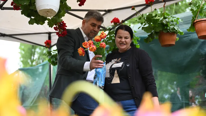 Austeritate: guvernul Ciolacu a cumpărat flori de 26.000 de euro, aproape cât locuințele lui Simion
