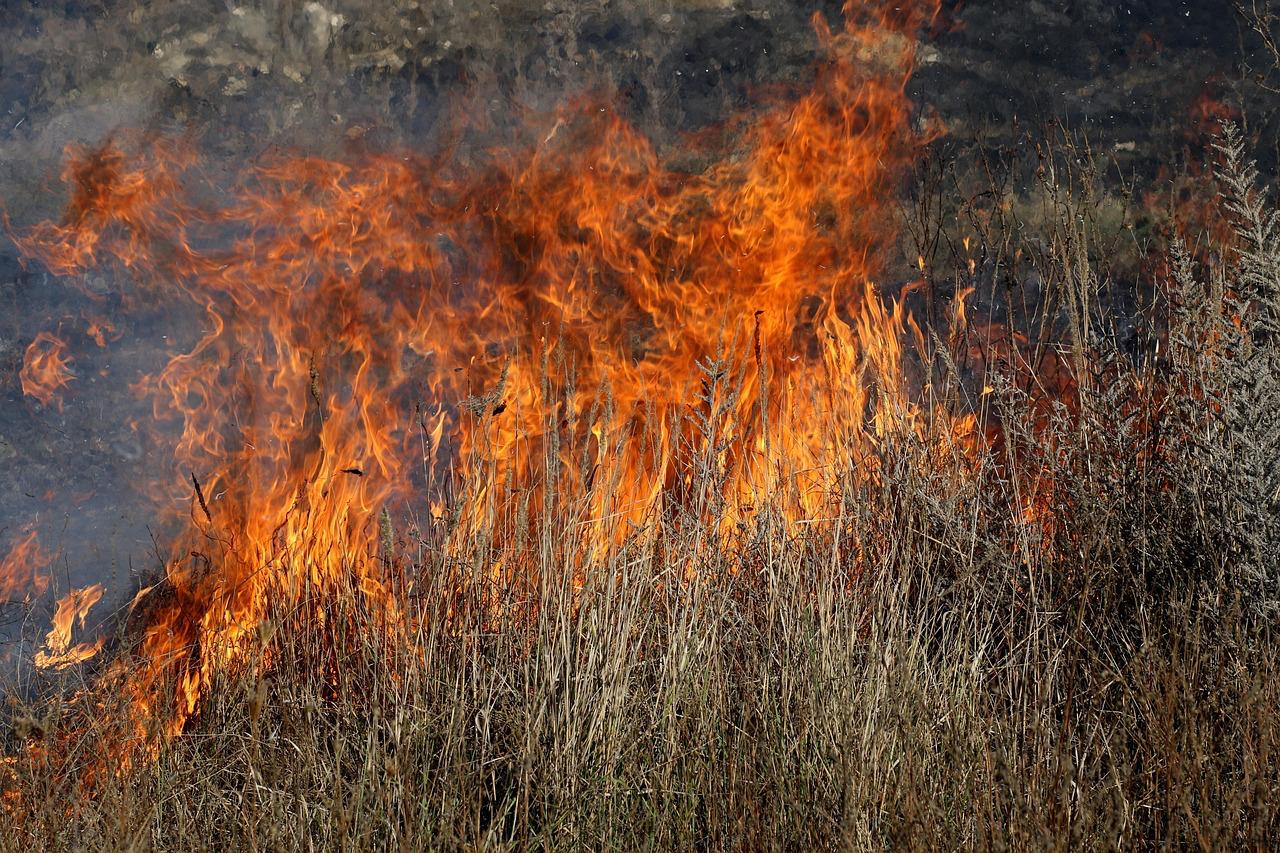Atenție mare: amenzile sunt uriașe! Este interzisă arderea miriştilor şi a vegetaţiei pajiştilor permanente. Ce ai de făcut dacă a ars și nu știi cauza?