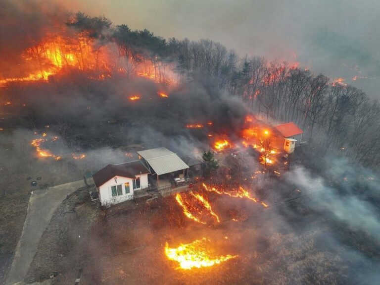 Incendii de vegetaţie catastrofale în Coreea de Sud: 18 persoane decedate, 27.000 de persoane evacuate, un elicopter prăbuşit 