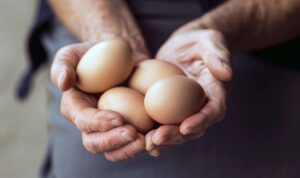 O clientă a unei brutării din Germania a aruncat cu ouă în vânzătoare pentru că nu avea produsele dorite 