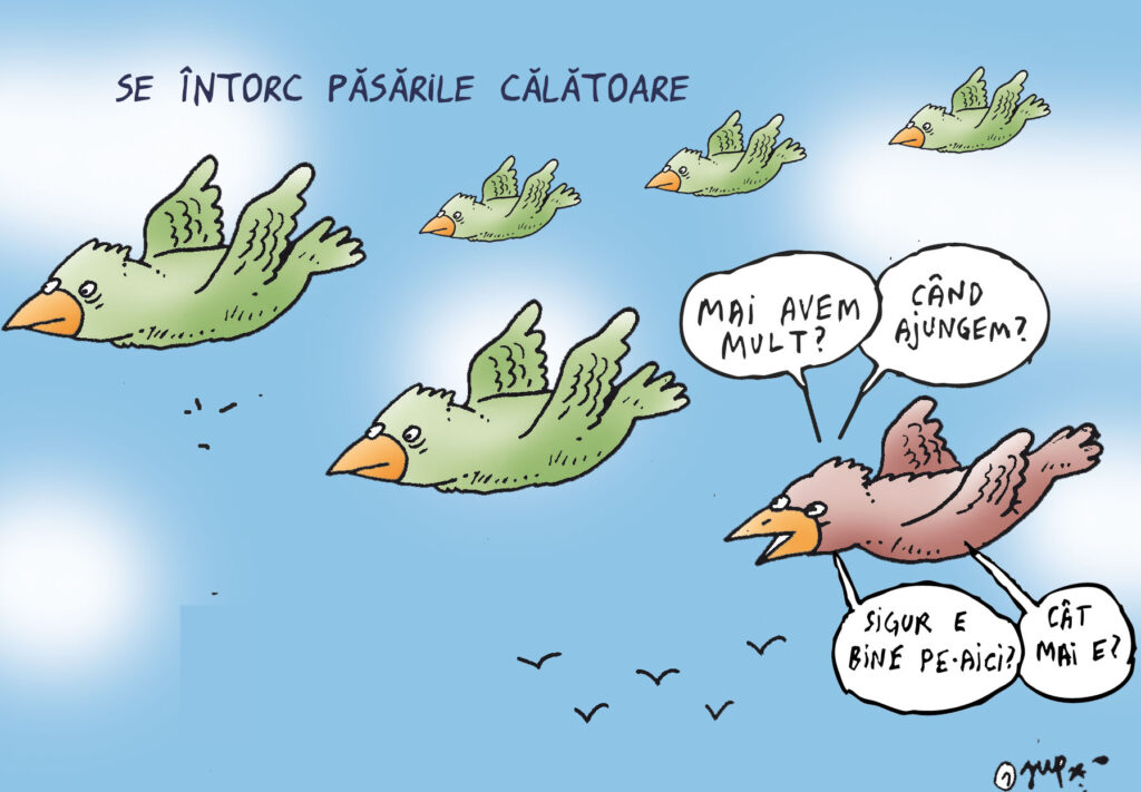  Se întorc păsările călătoare