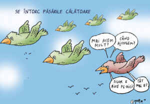 Se întorc păsările călătoare
