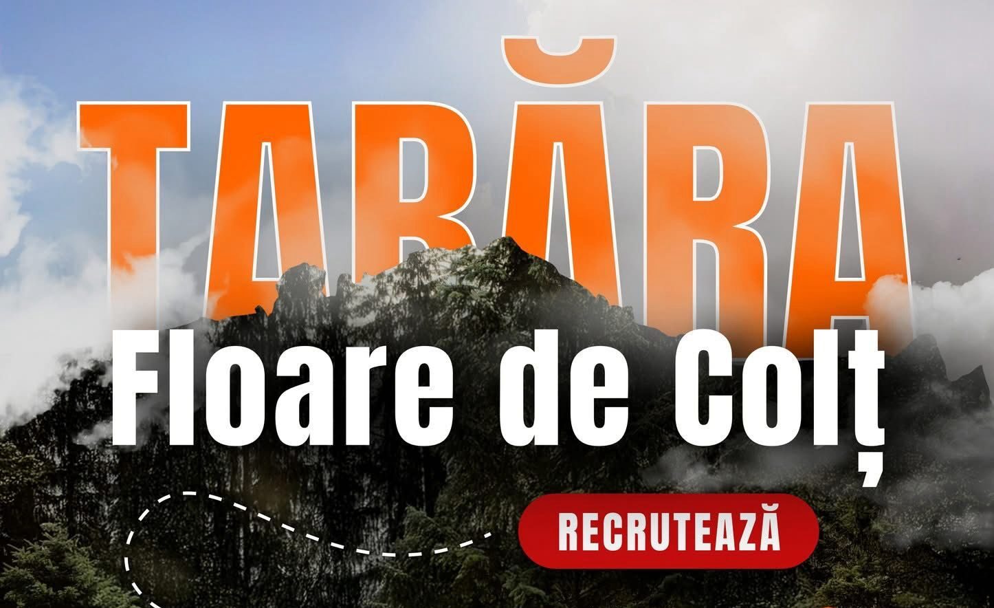 Tabăra „Floare de Colț” recrutează voluntari pentru vara 2025 - FOTO