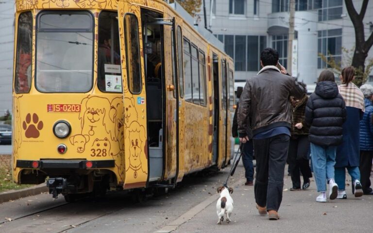 „Tramvaiul Responsabilității” revine la Iași, în ajutorul animalelor fără adăpost. Iată unde va staționa!