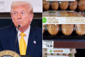 Pentru că a rămas fără ouă, Donald Trump se roagă de europeni să-l ajute