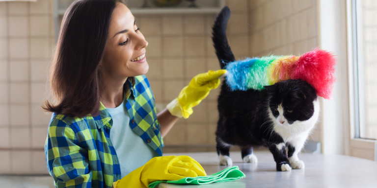 Curățenia de primăvară sigură pentru animalele de companie: produse non-toxice