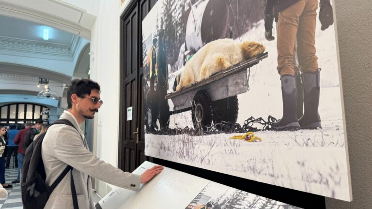 REPORTAJ: Ieșeni cu ochii în degete. Inedită expoziție la Iași, care la București a atras 100.000 de vizitatori. Fotografii ce prind viață prin atingere