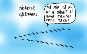 Păsări călătoare netaxate