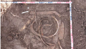 Prahova: Un profesor a descoperit într-o pădure depozite de arme și unelte agricole de fier din perioada medievală 