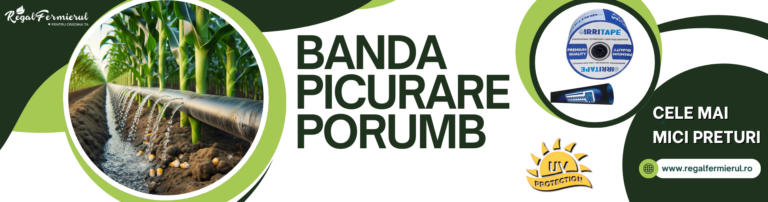 Banda de Picurare pentru Porumb – Irigare Eficientă, Recolte Bogate (P)