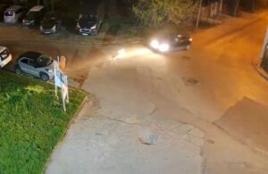 Unde ar fi ajuns puiul de căprioară „răpit” de pe o stradă din Iași