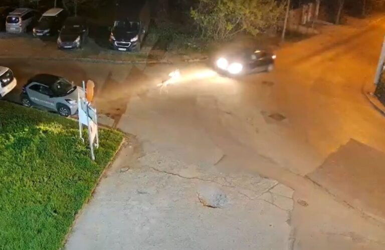 Unde ar fi ajuns puiul de căprioară „răpit” de pe o stradă din Iași