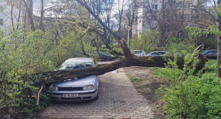 Furtuna face prima „victimă
