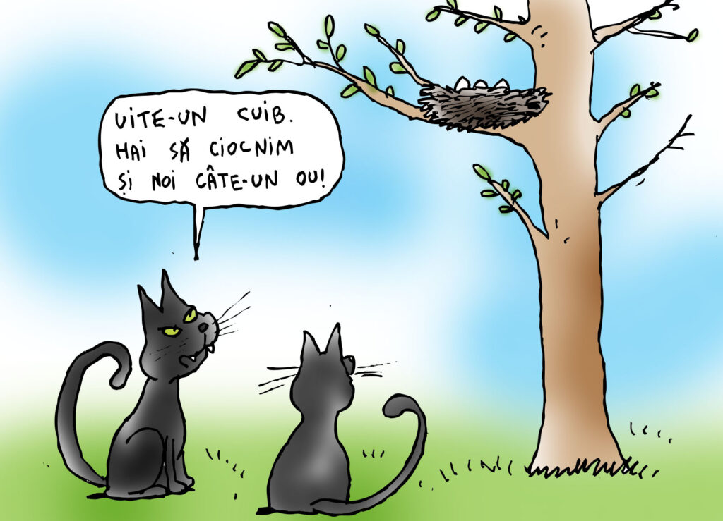  Două pisici și-un cuib