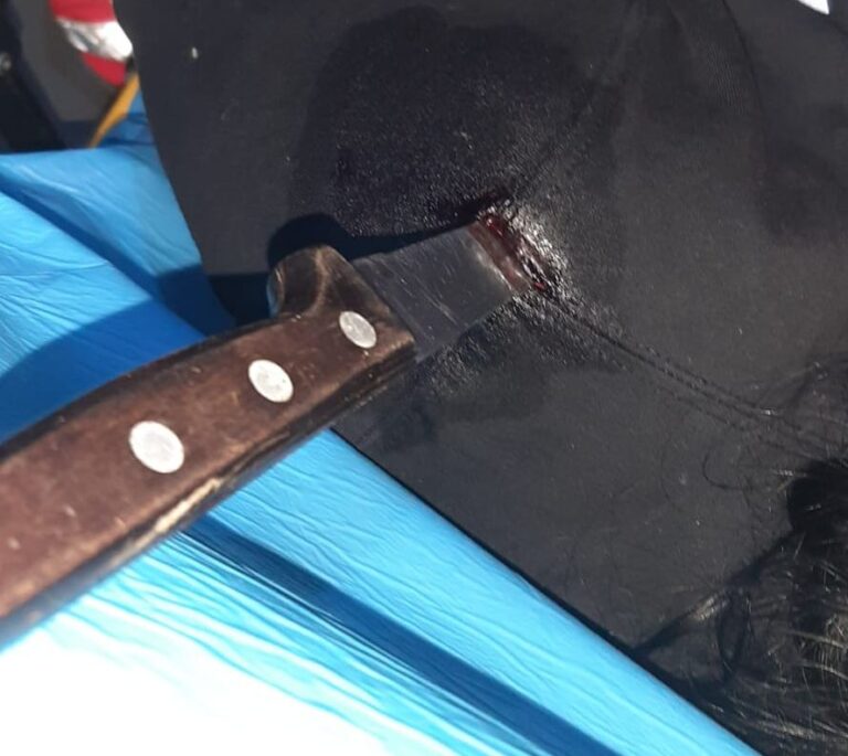 Incident grav, dar bizar, la Podu Iloaiei: Înjunghiat de noră, socrul a dat vina pe cuțitul de cozonac