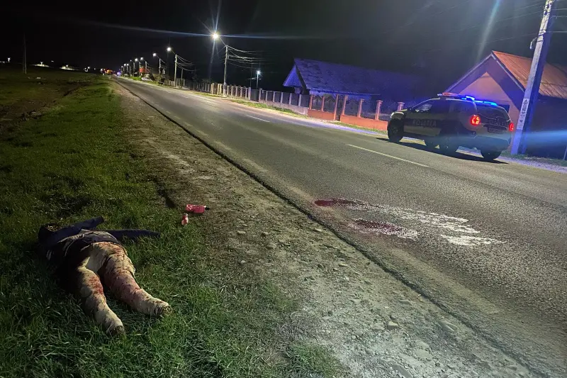 Accident mortal înscenat, cu manechin de paie și sânge pe jos, pe șoseaua Iași - Vaslui. Ce a urmat