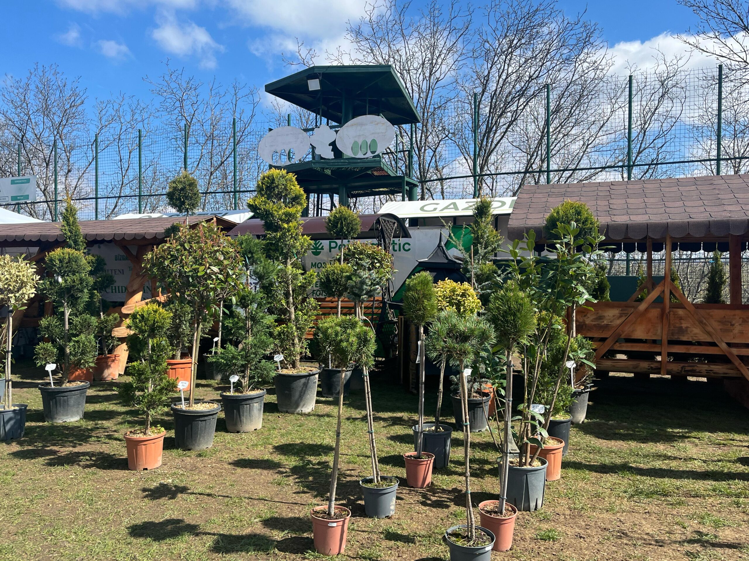 Jardiniere și ghivece care rezistă jumătate de secol la Garden Fest by USV Iași - GALERIE FOTO/VIDEO