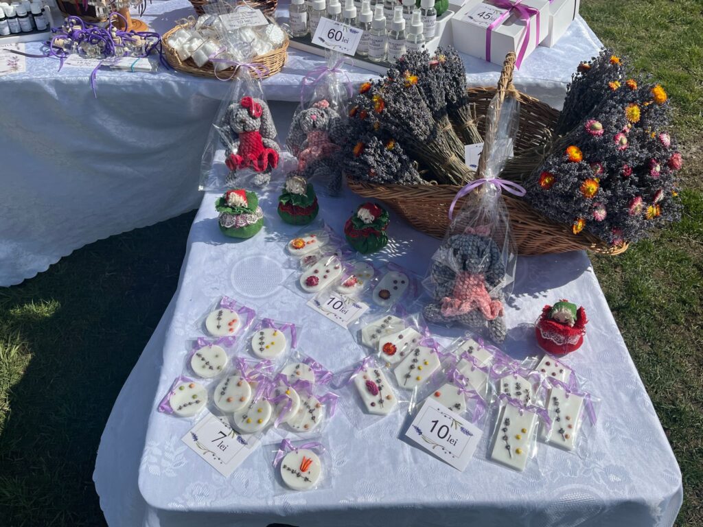  garden fest usv 2