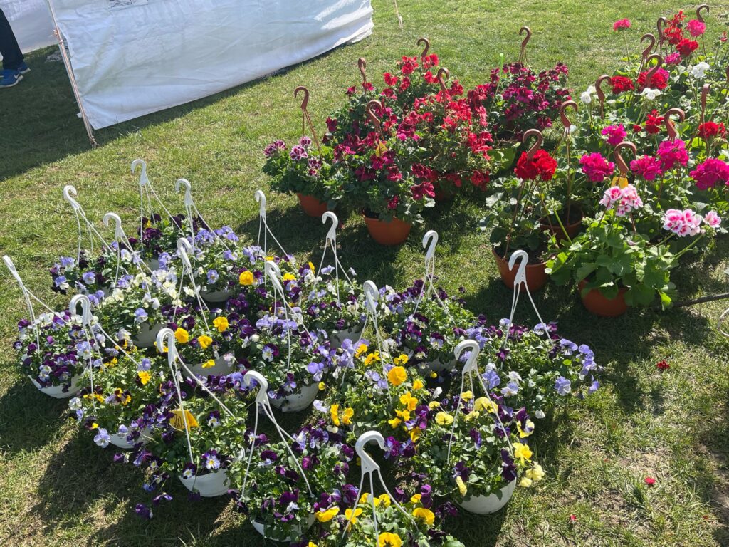  garden fest usv 7