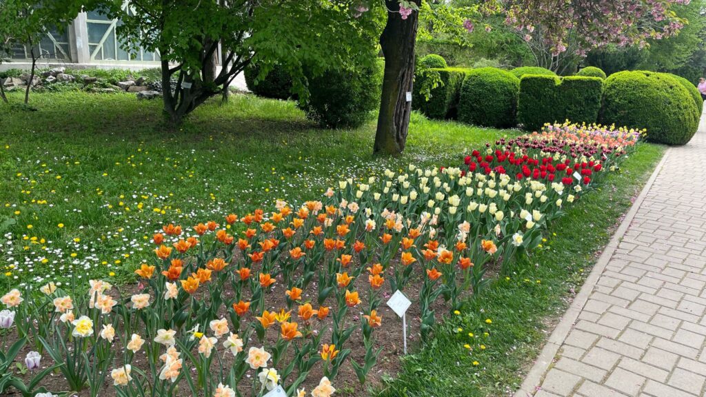  gradina botanica