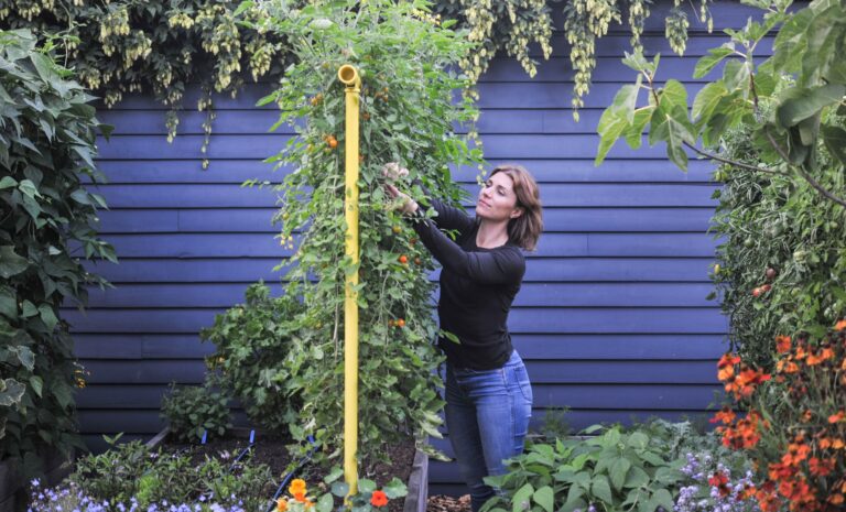 ,,Garden Fest by USV Iași”, eveniment dedicat grădinilor urbane, în weekend, la Iași