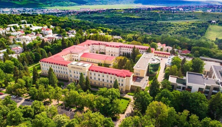 Studenții de la Peisagistică ai USV Iași, implicați în revitalizarea Parcului Dendrologic Styrcea din județul Neamț - FOTO