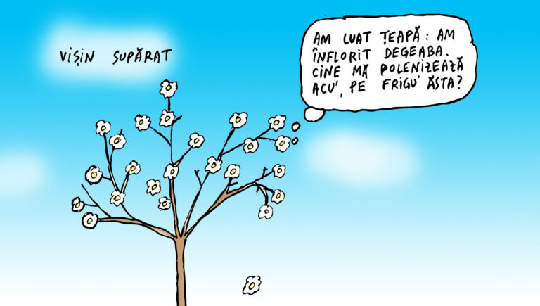 Vișin supărat