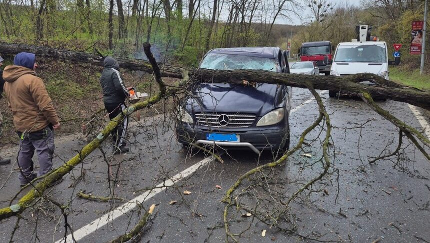 Un copac a căzut peste o maşină în care se aflau trei persoane, în zona Șoseaua Ciric