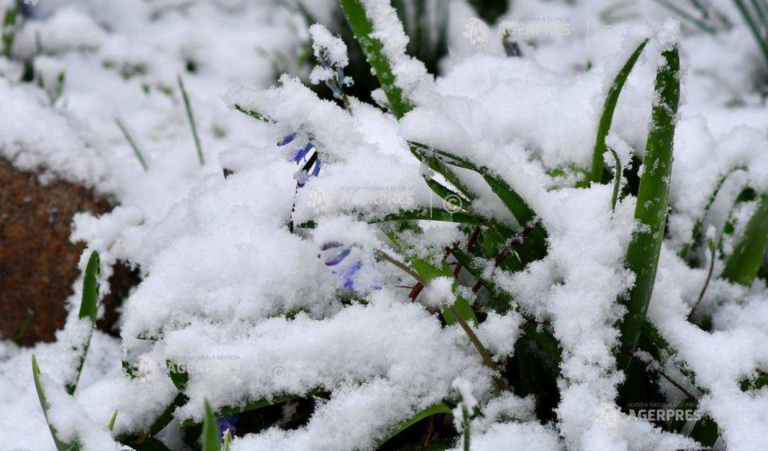 A nins și în Nordul Greciei. Temperaturile au scăzut în cursul nopții cu până la 20 de grade Celsius