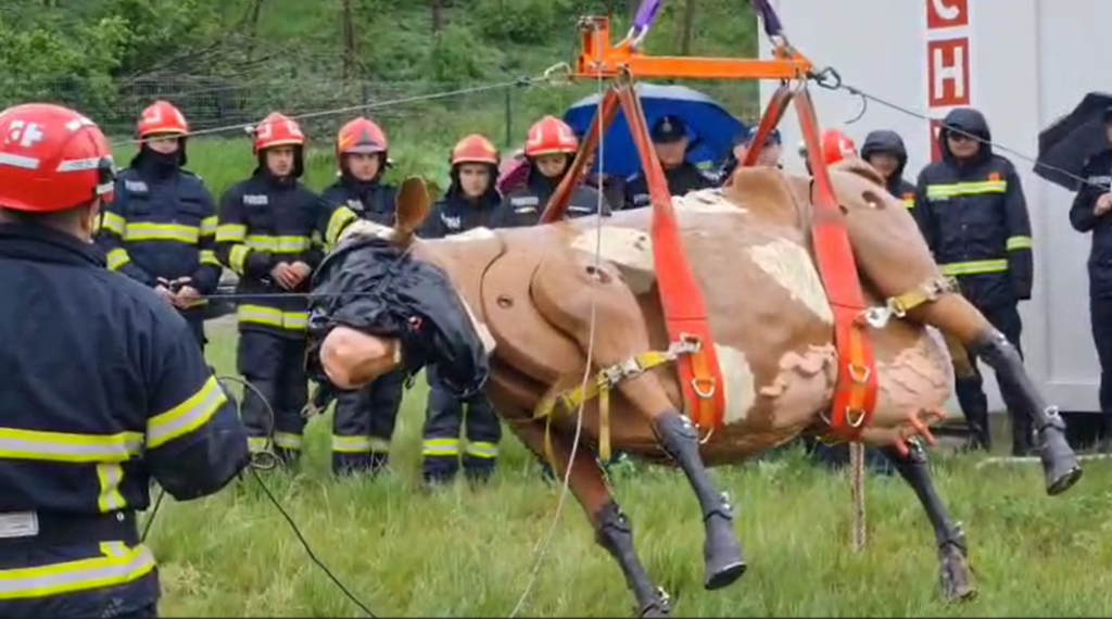  Salvările de animale, tot mai frecvente și în situații tot mai delicate la Iași. ISU a achiziționat echipamente speciale și ia cursuri de la veterinari