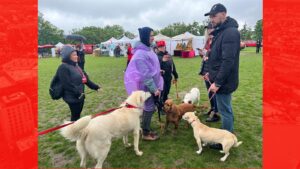 În ciuda vremii ploioase, Animal Fest 2025 și-a deschis porțile pe Arena USV Iași, atrăgând zeci de ieșeni însoțiți de animalele lor de companie