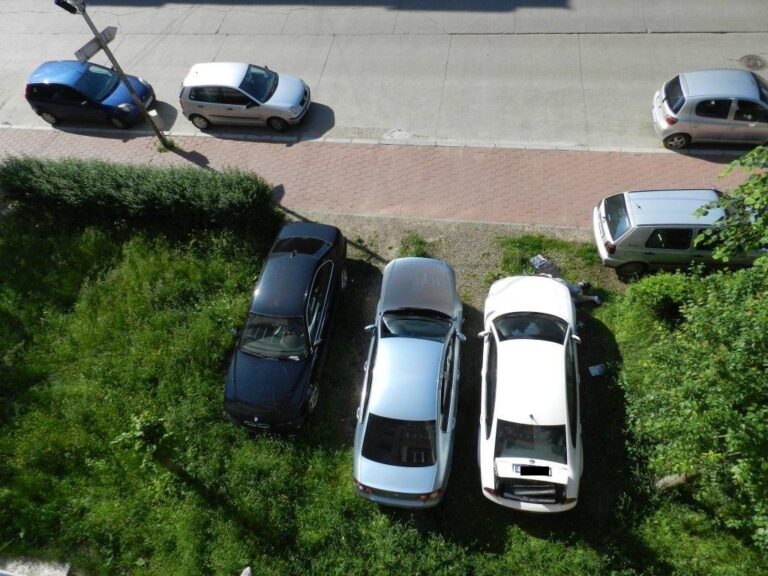Cum a scăpat o șoferiță din Iași de amenda de 900 lei pentru parcare pe spațiul verde? Un caz controversat