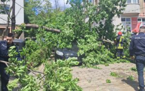 Intervenție pentru degajarea unui arbore căzut peste două autoturisme, în municipiul Iași