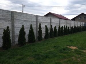 Garduri de beton care durează o viață: Producătorul Sigicom ridică standardele construcțiilor în Iași (P)