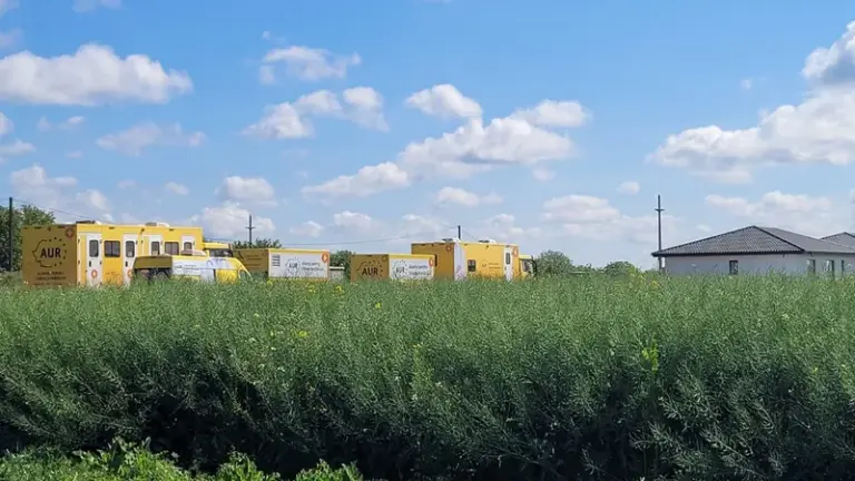 Camioanele caravanei medicale AUR, abandonate pe un câmp din Ilfov