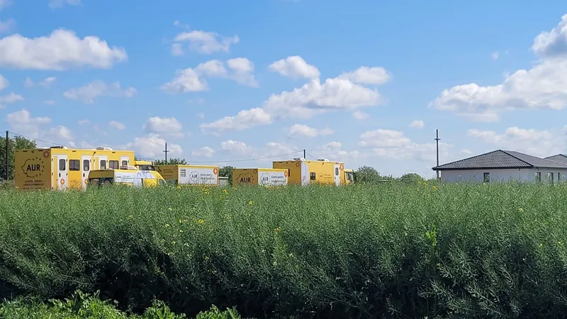  Camioanele caravanei medicale AUR, abandonate pe un câmp din Ilfov