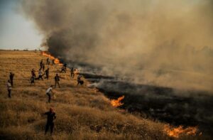 Cum vor arăta conflictele viitorului? Umanitatea a găsit mereu o scuză pentru atrocitățile comise