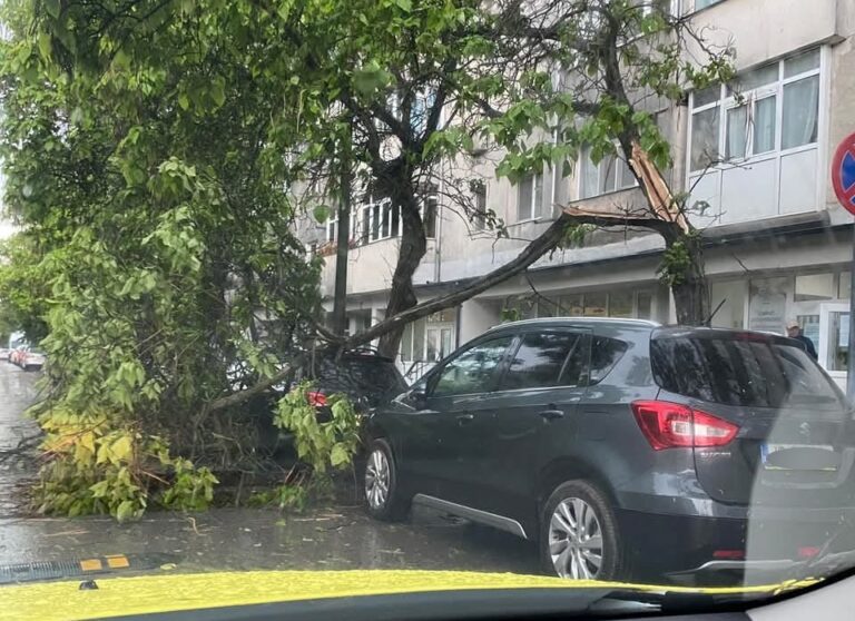 Vijelie în Iași: Copaci rupți și mașini avariate pe strada Vitejilor