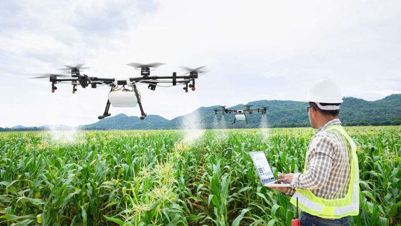 Cum pui Inteligența Artificială la treabă în slujba unei alimentații echilibrate și sănătoase? Explicațiile interesante ale unui universitar ieșean (II)